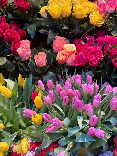 A vibrant display of fresh flowers featuring pink and yellow tulips with closed petals, alongside a variety of roses in shades of pink and yellow, arranged in a floral display. The tulips have smooth,