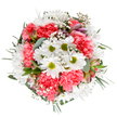 Radiating freshness and hope, this bouquet-artfully arranged by a skilled Radlett florist-embodies the uplifting mood of spring in the heart of Hertfordshire. Cheerful white daisies with luminous green centers stand proudly at the center, surrounded by coral-pink carnations whose textured, ruffled petals add layers of depth and gentle movement. Wispy trails of baby's breath weave bright points of softness among the blooms, like misty mornings edging between Radlett's quiet avenues. Subtle touches of blush alstroemeria and eucalyptus leaves poke from within, bringing fragrance and visual harmony that complement the overall design. The round arrangement is expertly balanced, recalling the care with which local florists prepare bouquets for cherished occasions-be it a joyful birthday surprise in the Park Street area, a thinking-of-you gesture, or a well-deserved thank you. Every element-from the fresh greenery forming the background to the tactile, cloud-like gypsophila-contributes to a sense of calm celebration. The bouquet's vibrant yet soothing palette captures the timeless tradition of Radlett's flower delivery, infusing any space with cheer and a touch of the town's own optimism and charm.